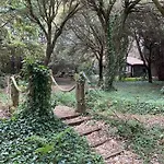 아파트 De Ensueno En El Bosque Y Junto Al Mar *