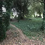 De Ensueno En El Bosque Y Junto Al Mar 아파트 *