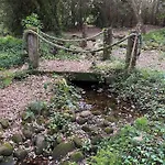 De Ensueno En El Bosque Y Junto Al Mar