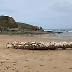 De Ensueno En El Bosque Y Junto Al Mar Miengo