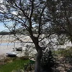 Apartment De Ensueno En El Bosque Y Junto Al Mar Miengo