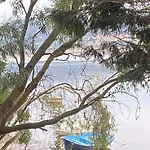 아파트 De Ensueno En El Bosque Y Junto Al Mar Miengo