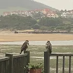 De Ensueno En El Bosque Y Junto Al Mar 아파트 Miengo