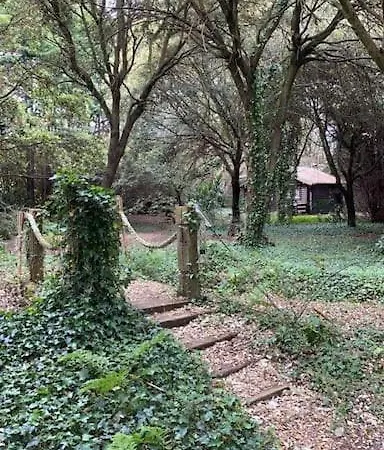 Апартаменты De Ensueno En El Bosque Y Junto Al Mar *