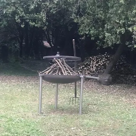 De Ensueno En El Bosque Y Junto Al Mar Мьенго