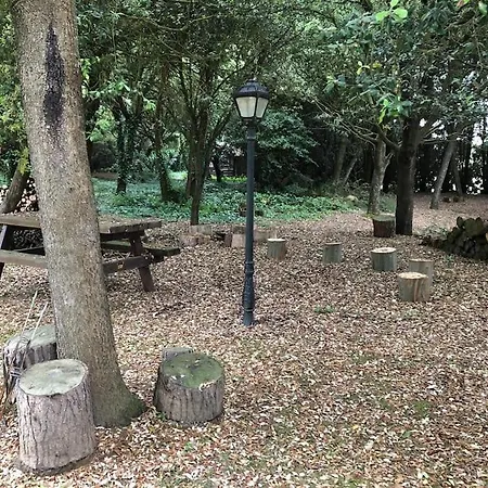 Апартаменты De Ensueno En El Bosque Y Junto Al Mar