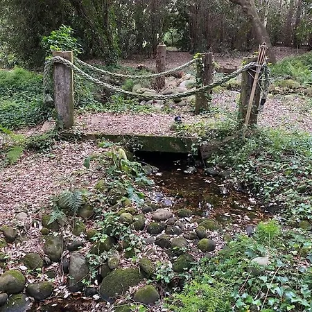 De Ensueno En El Bosque Y Junto Al Mar