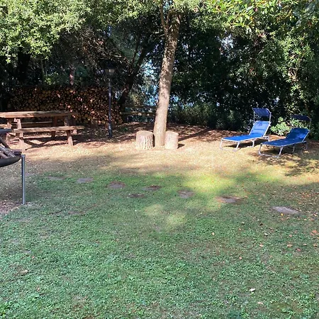 De Ensueno En El Bosque Y Junto Al Mar Miengo