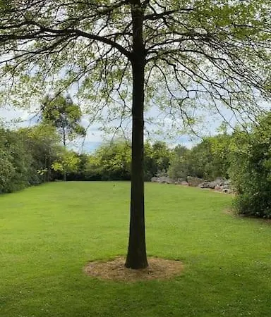 Апартаменты De Ensueno En El Bosque Y Junto Al Mar Мьенго