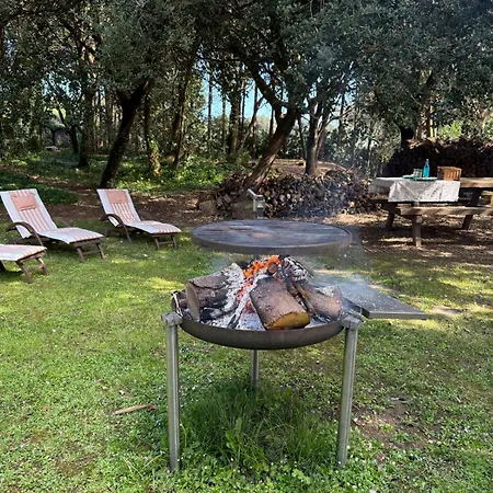 De Ensueno En El Bosque Y Junto Al Mar Διαμέρισμα Miengo