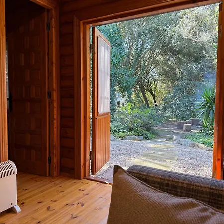 De Ensueno En El Bosque Y Junto Al Mar Miengo