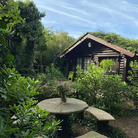 De Ensueno En El Bosque Y Junto Al Mar Miengo