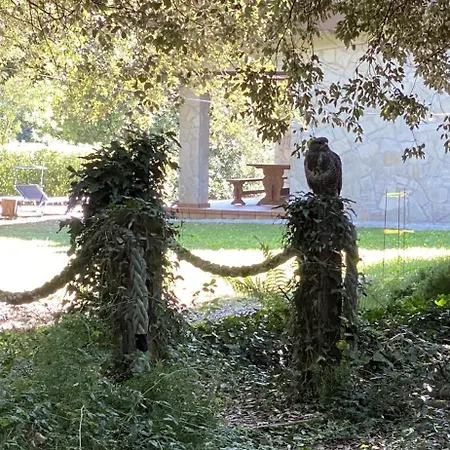 Appartement De Ensueno En El Bosque Y Junto Al Mar *