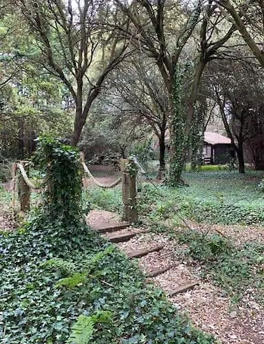 Apartment De Ensueno En El Bosque Y Junto Al Mar *