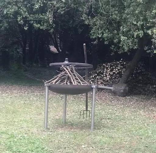 De Ensueno En El Bosque Y Junto Al Mar Miengo