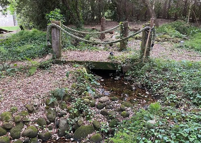 De Ensueno En El Bosque Y Junto Al Mar
