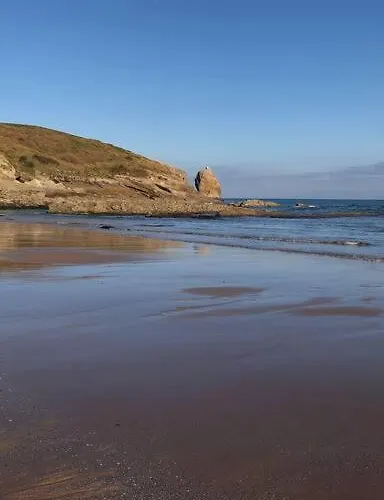 Appartement De Ensueno En El Bosque Y Junto Al Mar