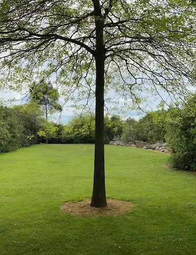 Appartement De Ensueno En El Bosque Y Junto Al Mar Miengo