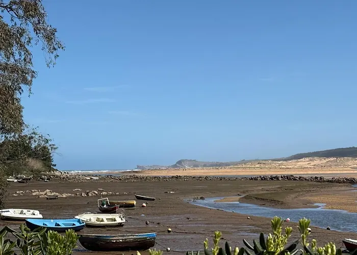 De Ensueno En El Bosque Y Junto Al Mar
