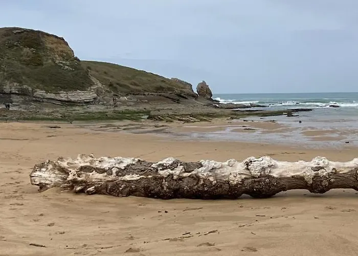 De Ensueno En El Bosque Y Junto Al Mar Miengo