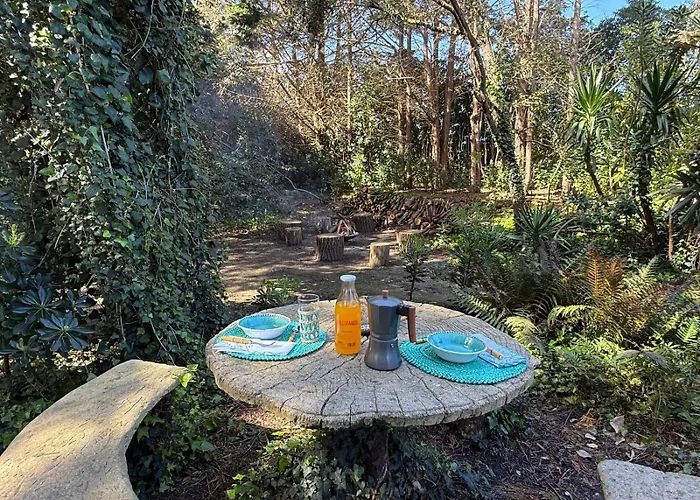 De Ensueno En El Bosque Y Junto Al Mar