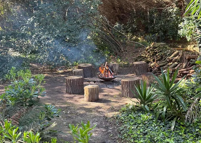 De Ensueno En El Bosque Y Junto Al Mar *