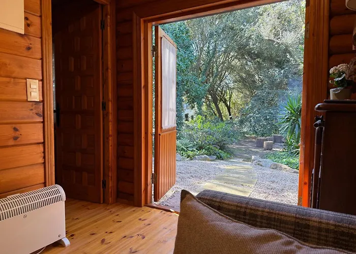 De Ensueno En El Bosque Y Junto Al Mar Miengo