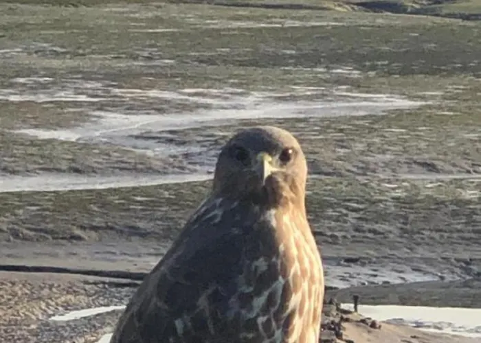 De Ensueno En El Bosque Y Junto Al Mar Apartmán
