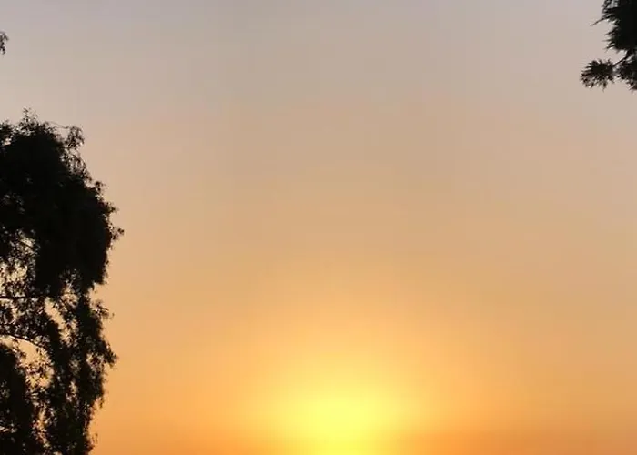 De Ensueno En El Bosque Y Junto Al Mar * Miengo