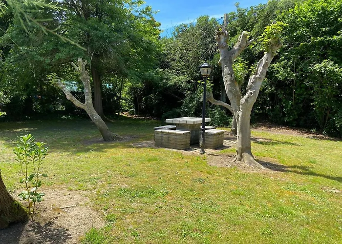 De Ensueno En El Bosque Y Junto Al Mar