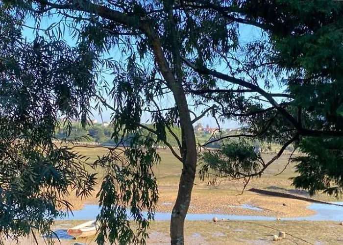 Apartment De Ensueno En El Bosque Y Junto Al Mar