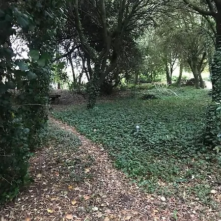 De Ensueno En El Bosque Y Junto Al Mar Apartmán *