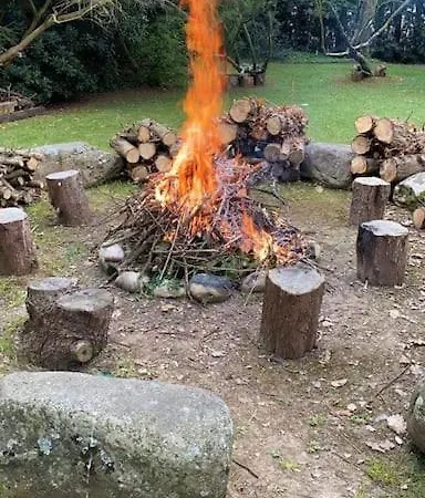 De Ensueno En El Bosque Y Junto Al Mar