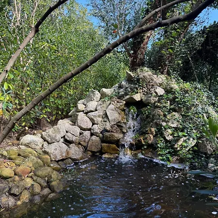 Apartment De Ensueno En El Bosque Y Junto Al Mar Miengo