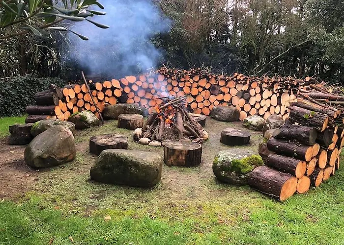 De Ensueno En El Bosque Y Junto Al Mar *