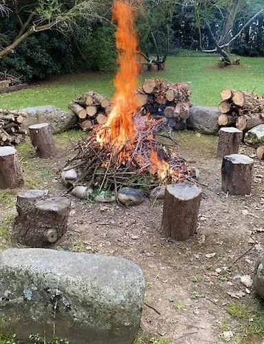 De Ensueno En El Bosque Y Junto Al Mar