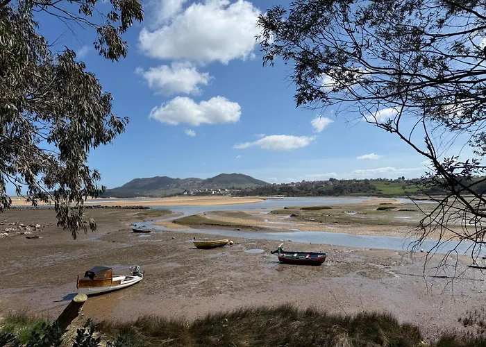 De Ensueno En El Bosque Y Junto Al Mar *