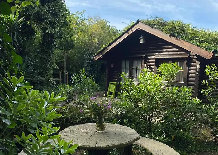 De Ensueno En El Bosque Y Junto Al Mar Miengo