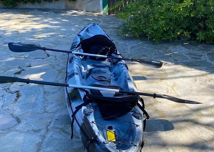 De Ensueno En El Bosque Y Junto Al Mar