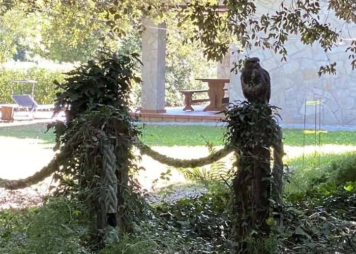 Apartman De Ensueno En El Bosque Y Junto Al Mar *