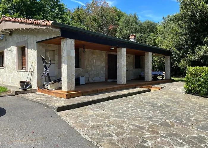 De Ensueno En El Bosque Y Junto Al Mar