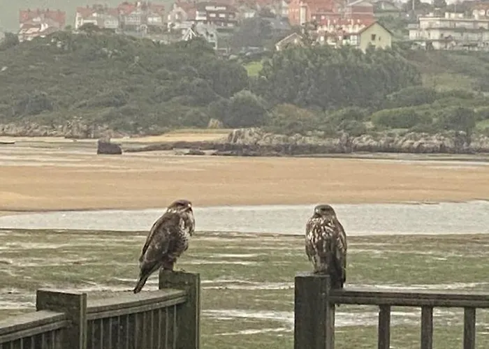 De Ensueno En El Bosque Y Junto Al Mar Apartman Miengo